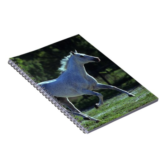 純血種の種馬のランニング ノートブック (右側)