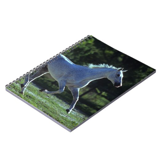 純血種の種馬のランニング ノートブック (左側)