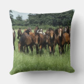 純血種の若者 クッション (裏面)