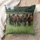 純血種の若者 クッション (ブランケット)