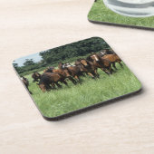 純血種の若者 コースター (左側)