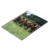 純血種の若者 ノートブック (左側)