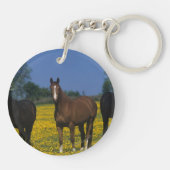 純血種の馬のグループ キーホルダー (裏面)