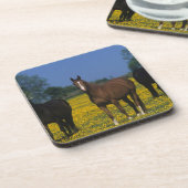 純血種の馬のグループ コースター (左側)