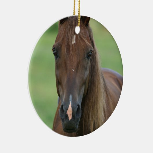 純血種の馬の写真のオーナメント セラミックオーナメント (右)