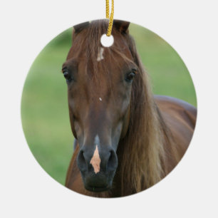 純血種の馬の写真のオーナメント セラミックオーナメント