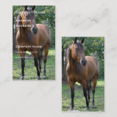 純血種の馬の名刺 名刺 (正面/裏面)