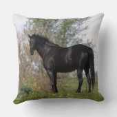 純血種の馬の地位 クッション (裏面)