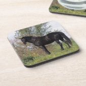 純血種の馬の地位 コースター (左側)