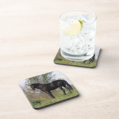 純血種の馬の地位 コースター (右側)