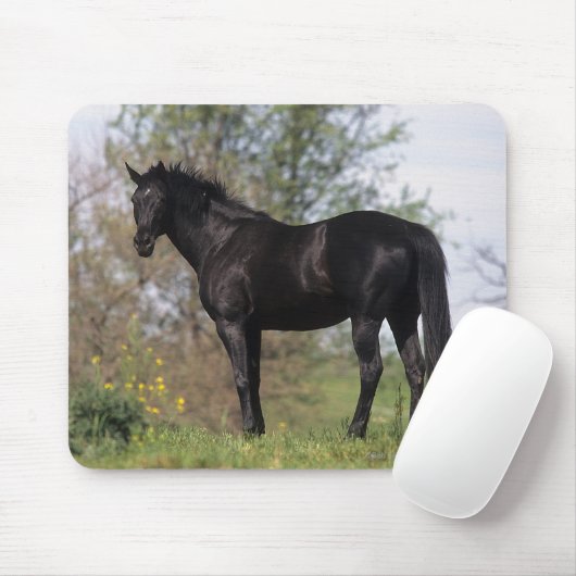 純血種の馬の地位 マウスパッド (マウス)