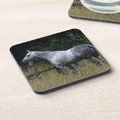 純血種の馬の待機の塀 コースター (左側)