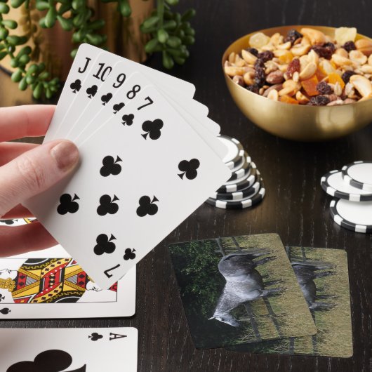 純血種の馬の待機の塀 トランプ (インサイチュ)