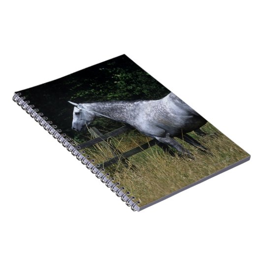 純血種の馬の待機の塀 ノートブック (右側)