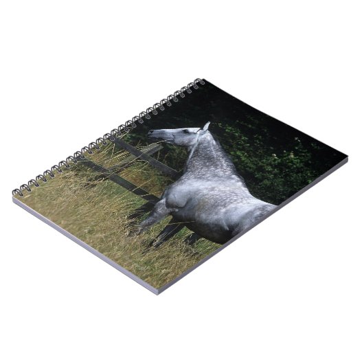 純血種の馬の待機の塀 ノートブック (左側)