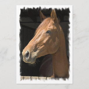 純血種の馬の招待状 招待状