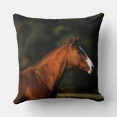 純血種の馬のHeadshot クッション (裏面)