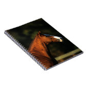 純血種の馬のHeadshot ノートブック (右側)