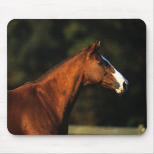 純血種の馬のHeadshot マウスパッド