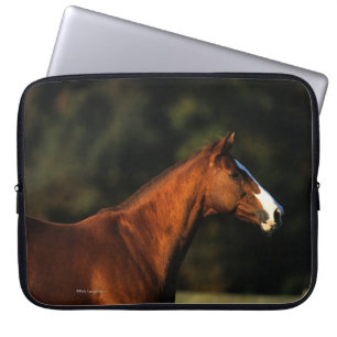 純血種の馬のHeadshot ラップトップスリーブ