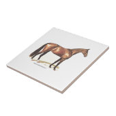 純血種の馬 タイル (側面)