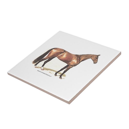 純血種の馬 タイル (側面)