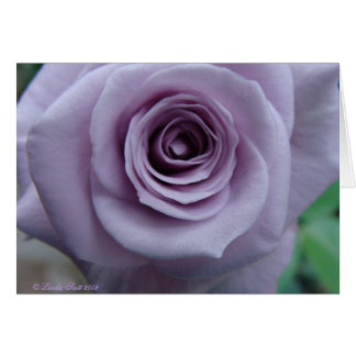 純銀製のばら色のカード設計