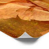 紙の樹皮メープルポスター ポスター (角)