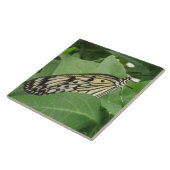 紙カイトバタフライマクロタイル タイル (側面)