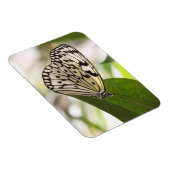 紙カイトバタフライ磁石 マグネット (右側)