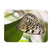 紙カイトバタフライ磁石 マグネット (横)