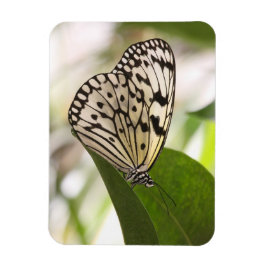 紙カイトバタフライ磁石 マグネット