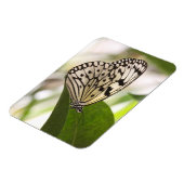 紙カイトバタフライ磁石 マグネット (左側)