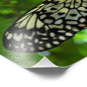 紙カイトバタフライ フォトプリント            (角)