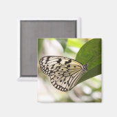 紙カイトバタフライ マグネット (正面/裏面)