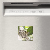 紙カイトバタフライ マグネット (インサイチュ (食洗機))