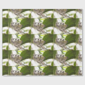 紙カイトバタフライ ラッピングペーパー (フラット)