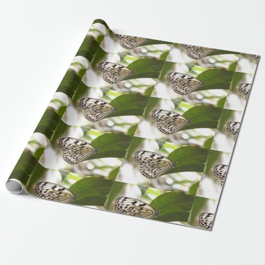 紙カイトバタフライ ラッピングペーパー (アンロールド)