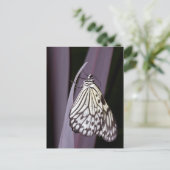 紙カイトバタフライ（紫） ポストカード (スタンド正面)