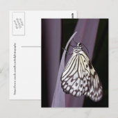 紙カイトバタフライ（紫） ポストカード (正面/裏面)