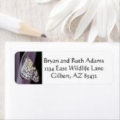 紙カイトバタフライ（紫） ラベル (インサイチュ)