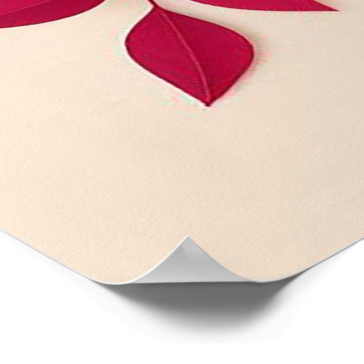 紙カラフルの花 ポスター (角)