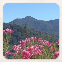 紙コースターズマウントタマルパイピンクの花