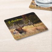 紙コースターセット – イエローストーンエルク スクエアペーパーコースター (アングル)