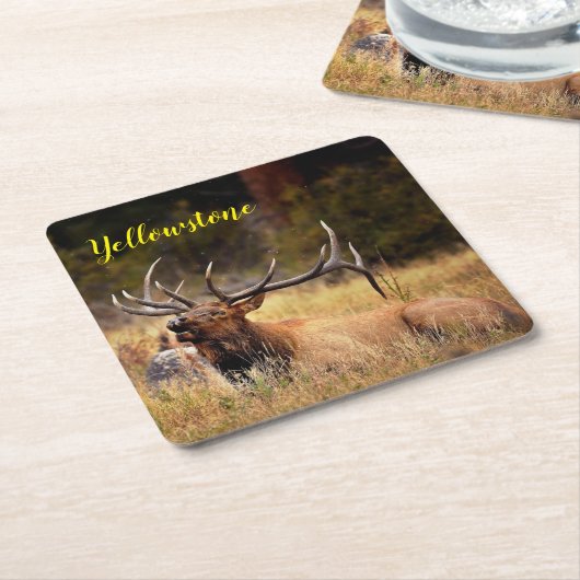 紙コースターセット – イエローストーンエルク スクエアペーパーコースター (アングル)