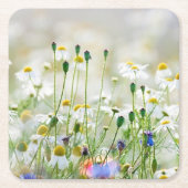 紙コースター – コーンフラワーとデイジー (正面)