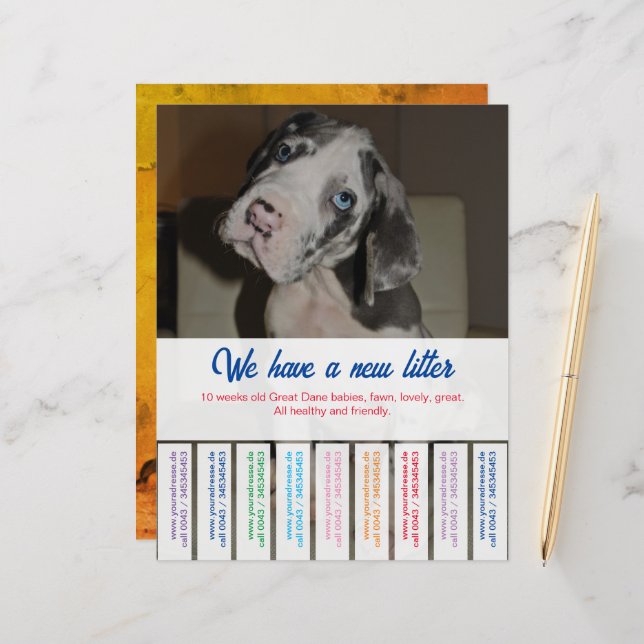 紙シート (正面/裏面インサイチュ)