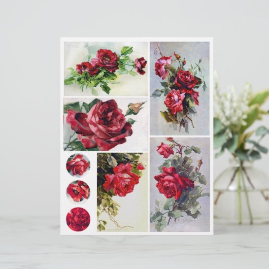 紙シート (スタンド正面)