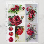 紙シート (正面/裏面)