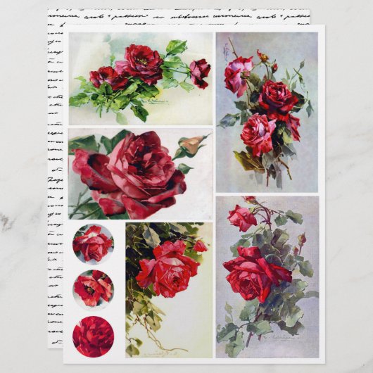 紙シート (正面/裏面)